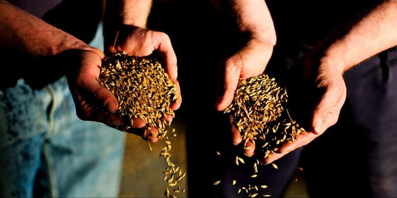 quy trình sản xuất rượu chivas 15 năm mẫu mới